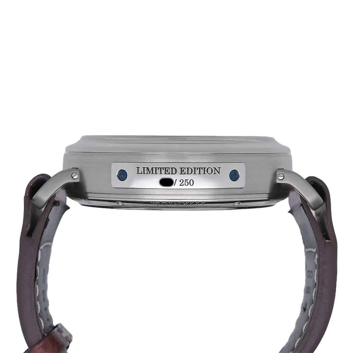 Zenith Type 20 Titan 95.2420.5011 Gehaeuseprofil